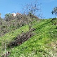 2811 Benedict Canyon Dr, Beverly Hills, CA 90210 JUST LISTED! Vacant Land $895,000.00!